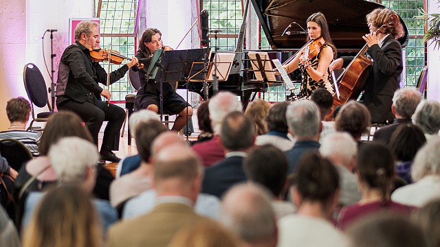 Strings Attached - CTQ with Finghin Collins - GIAF - Photography by Ciarán MacChoncarraige
